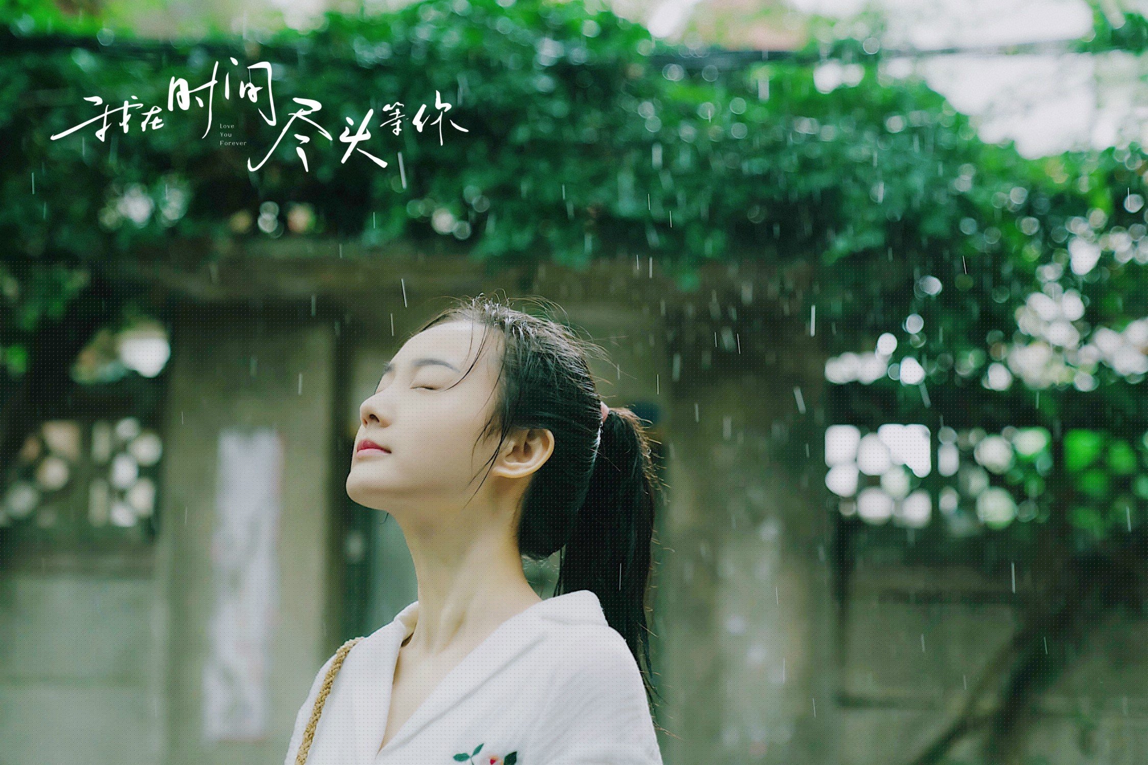 中国篮球海外文化交流展在多国巡展,中国篮球海外球员