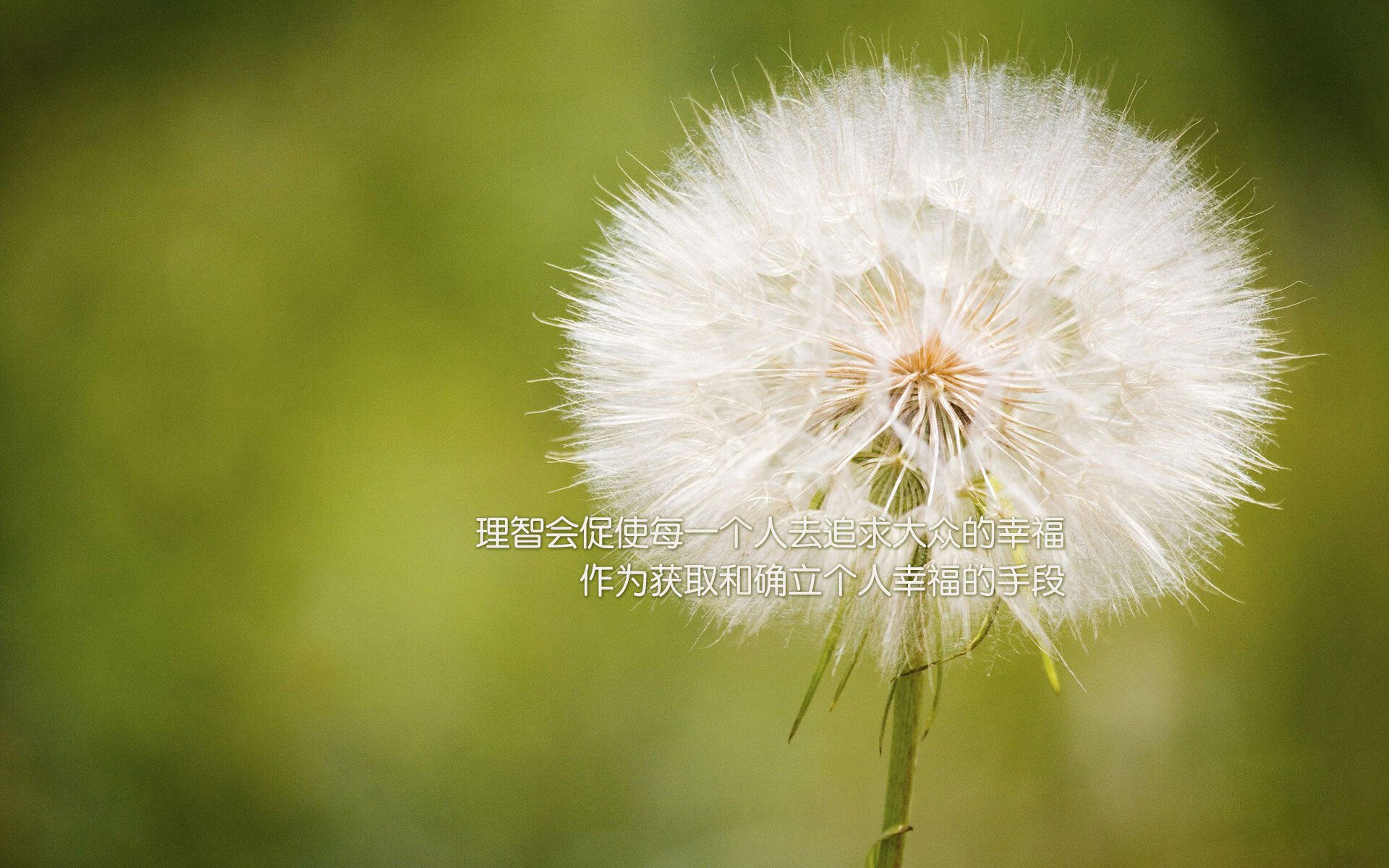 托桑·埃夫布奥姆万在NBA常规赛中砍下22分，布冯和埃托奥