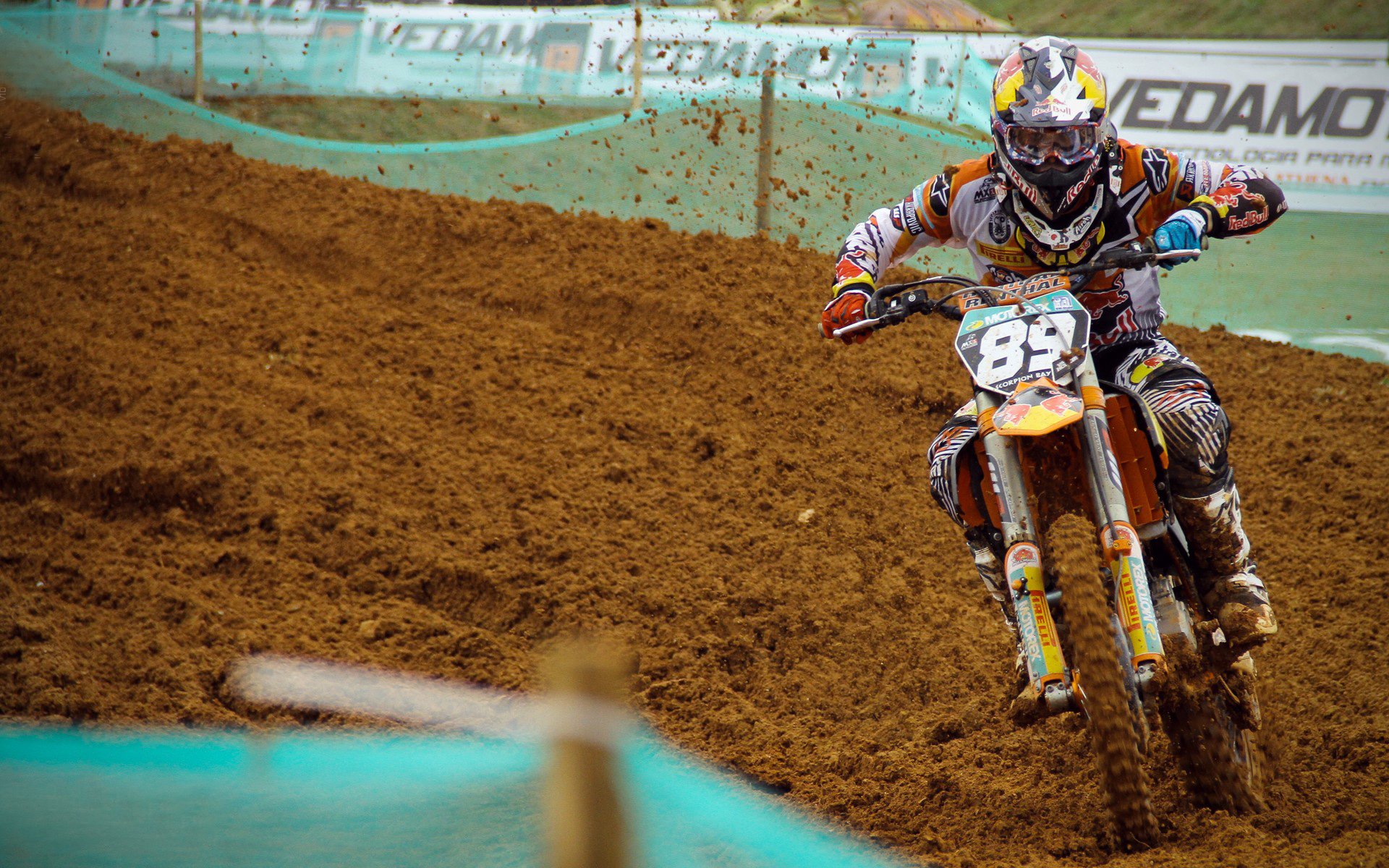 马术比赛裁判新规解读，马术比赛rt