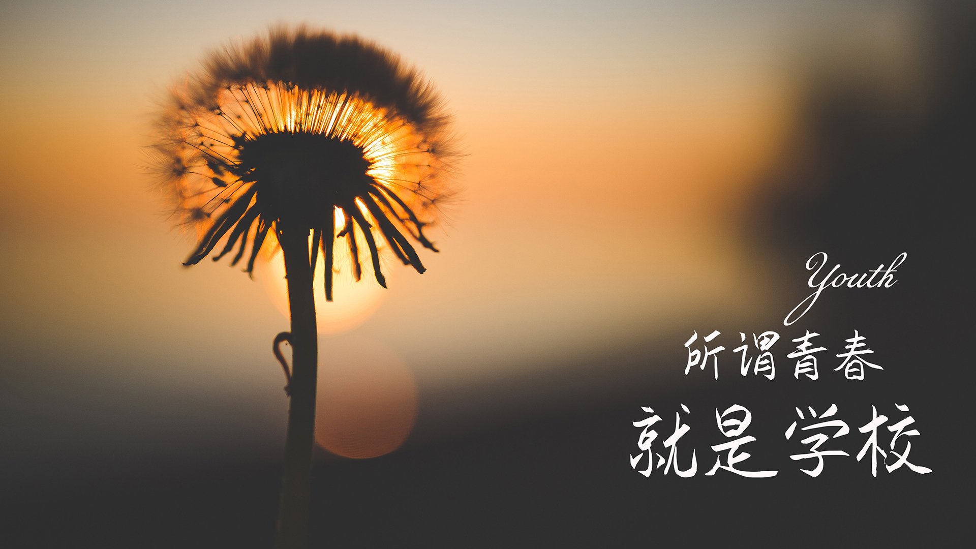 _彩色迷你跑:全民参与的趣味运动盛典_,彩色mini